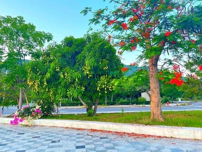 Hình ảnh Nền đẹp Golden Bay 602, chỉ 5 phút đến sân bay Cam Ranh