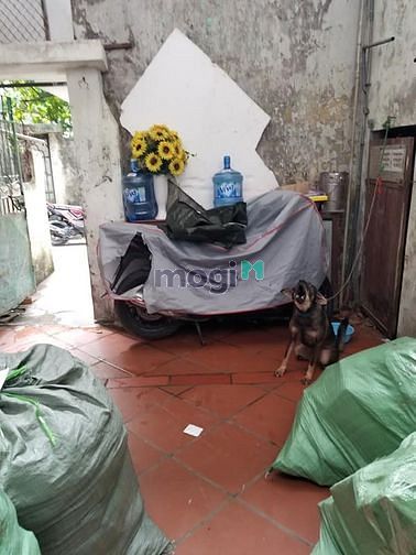 Hình ảnh Bán đất Võ Thị Sáu, 91m2, mt 6m, 6,3 tỷ