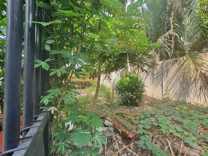 Hình ảnh HÀNG HIẾM! 200m2 đất ngay vành đai 2 đường 5m giá 6ty8 Linh Đông Thủ Đ
