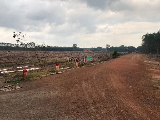 Hình ảnh Đất 3 mặt tiền 27000 m2 ( 2 héc 7 ) tân thắng , Hàm Tân,bình thuận