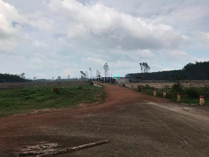 Hình ảnh Đất 3 mặt tiền 27000 m2 ( 2 héc 7 ) tân thắng , Hàm Tân,bình thuận
