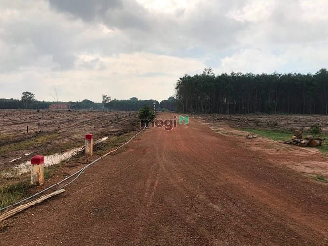Hình ảnh Đất 3 mặt tiền 27000 m2 ( 2 héc 7 ) tân thắng , Hàm Tân,bình thuận