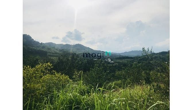 Hình ảnh Bán đất nam phong cao phong với diện tích 2896m