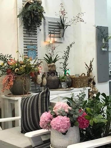 Hình ảnh Bán nhà Đội Cấn, 67m2, 4 tầng, mt 5,5m, 5,5 tỷ