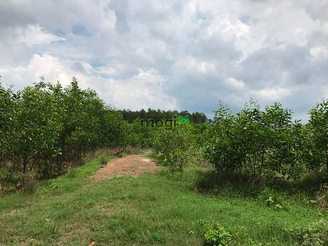 Hình ảnh Cần bán lô đất 7 héc 6 ( 76000 m2 ) Xã Tân Thắng , Hàm tân bình thuận