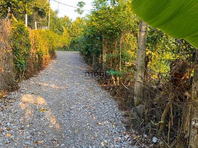 Hình ảnh Nền Đất Chỉ Có 530tr Đất Thổ Cư, Sổ Riêng Tp.LongKhánh