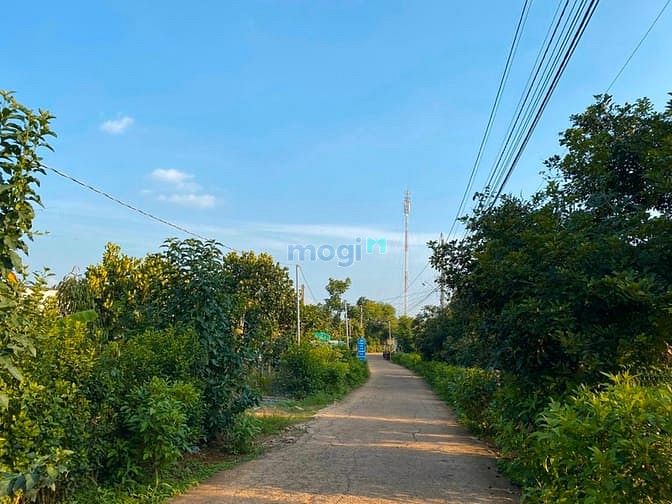 Hình ảnh Nền Đất Chỉ Có 530tr Đất Thổ Cư, Sổ Riêng Tp.LongKhánh