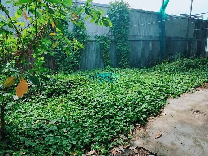 Hình ảnh Bán gấp lô đất Bình Quới, Bình Thạnh, làng du lịch Bình Quới, 300m2.