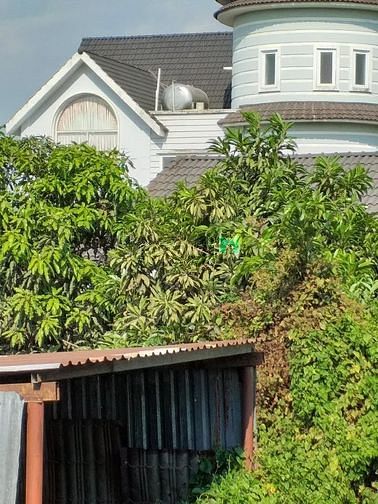 Hình ảnh Bán gấp lô đất Bình Quới, Bình Thạnh, làng du lịch Bình Quới, 300m2.