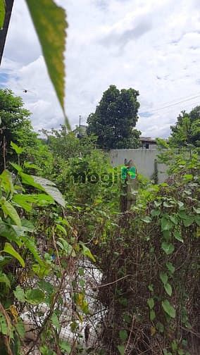 Hình ảnh 1 sẹc Nguyễn Thị Nê, Phú Hoà Đông 7x76 Củ Chi_ Giá 2 tỷ 350
