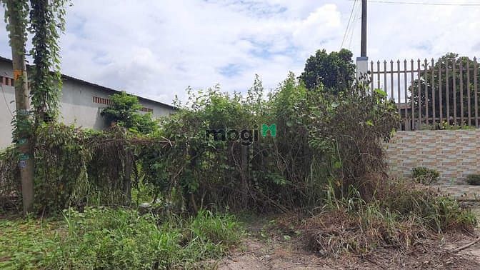Hình ảnh 1 sẹc Nguyễn Thị Nê, Phú Hoà Đông 7x76 Củ Chi_ Giá 2 tỷ 350