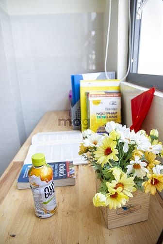 Hình ảnh Mb6623 nạp rút nhanh chóng mini, Duplex tân bình - View kính - Thoáng mát - mới xây