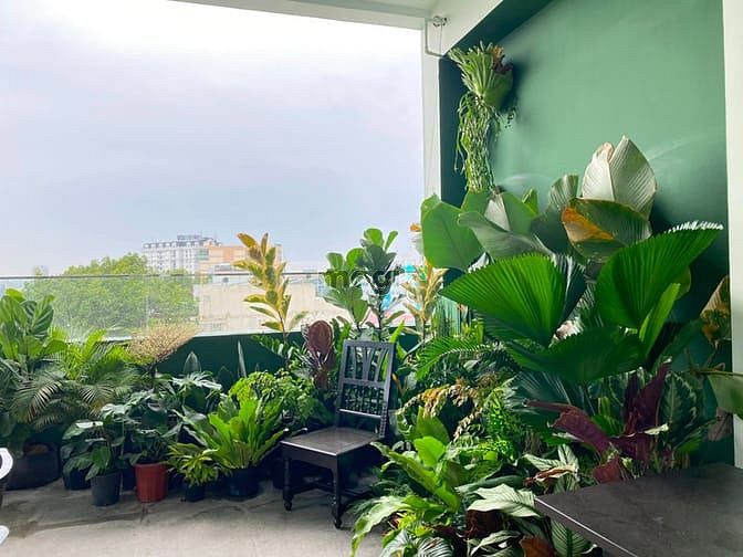 Hình ảnh 🌳  Tuyệt Phẩm Sài Thành 🌳 ( Bùi Thị Xuân , Q1)