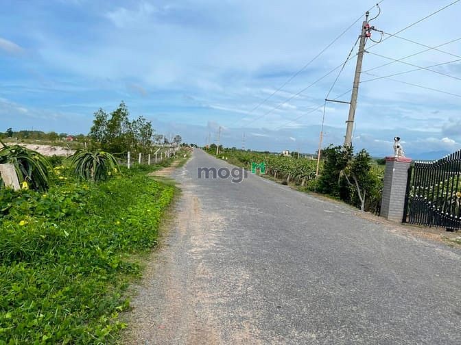 Hình ảnh Bán 11000m2 mặt tiền Võ Văn Tần, thị xã LaGi chưa qua Trang MB66.COM Chính Thức - MB 66 Uy Tín
