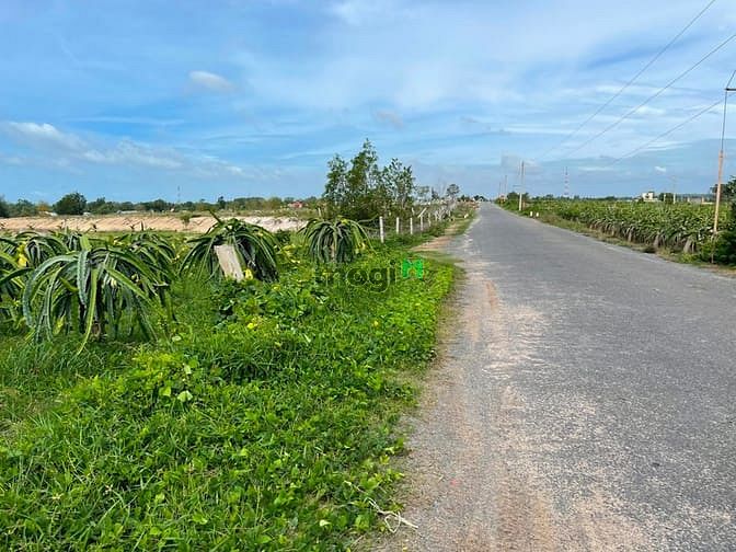 Hình ảnh Bán 11000m2 mặt tiền Võ Văn Tần, thị xã LaGi chưa qua Trang MB66.COM Chính Thức - MB 66 Uy Tín