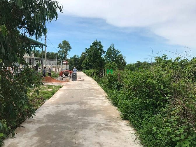 Hình ảnh Bán 1.4 ha đất hẻm Lê Minh Công , thị xã LaGi giá rẻ