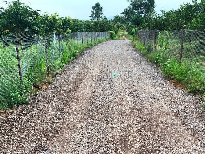Hình ảnh Đất vườn Định Quán, Đồng Nai đẹp