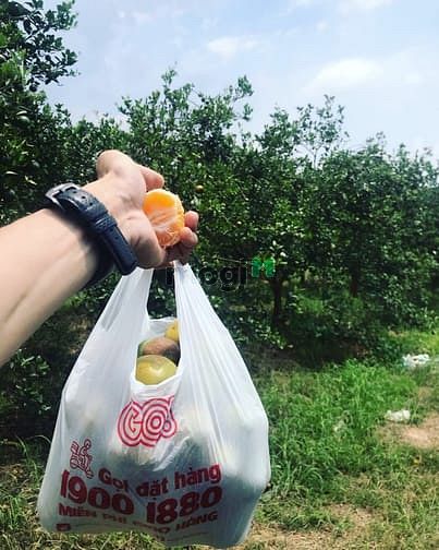 Hình ảnh Đất vườn Định Quán, Đồng Nai đẹp