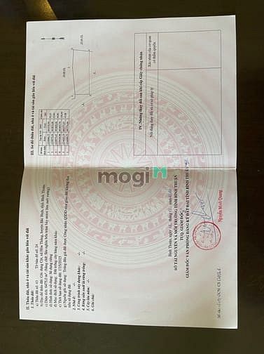 Hình ảnh Chính Chủ cần bán vườn Dưa Lưới