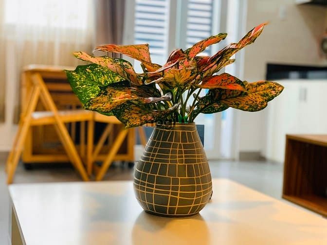 Hình ảnh Trang Chủ MB66.COM / Đăng Ký Tặng 66K dịch vụ, đường lê văn lương, full nội thất, quận 7
