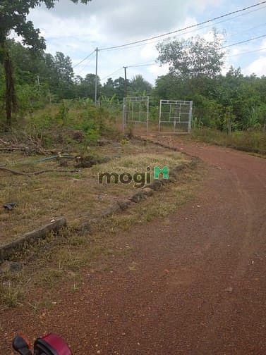 Hình ảnh Bán đất Vườn 6000m2 Vĩnh An Vĩnh Cửu giá 3ty600