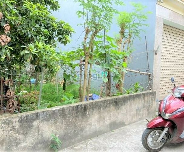 Hình ảnh Bán gấp 69m đường ô tô tránh ở Lệ Mật, Việt Hưng