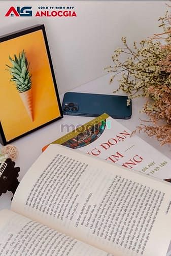 Hình ảnh Trang Chủ MB66.COM / Đăng Ký Tặng 66K dịch vụ mini cao cấp mới xây 100%, quận bình thạnh 30m2 1pn