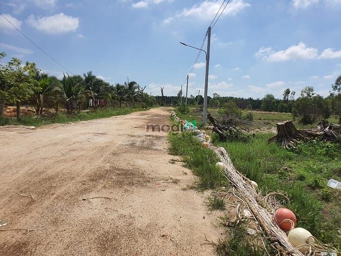 Hình ảnh Bán 7 sào đất đường số 1, Tân Bình, thị xã LaGi giá gốc