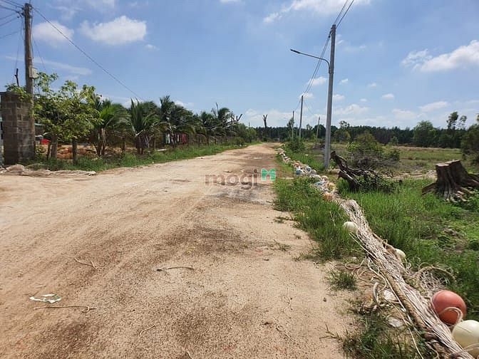 Hình ảnh Bán 7 sào đất đường số 1, Tân Bình, thị xã LaGi giá gốc