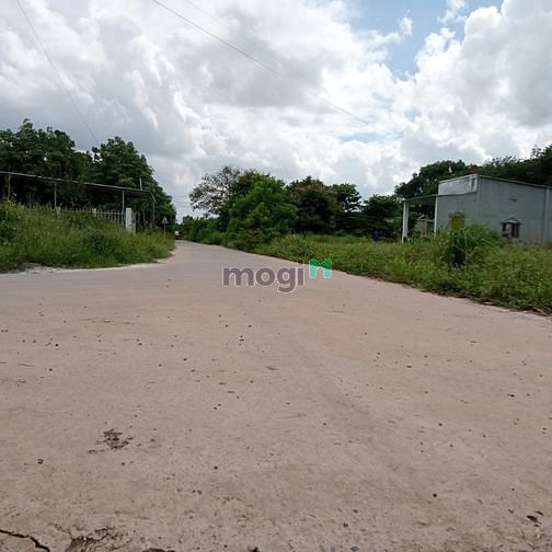 Hình ảnh chính chủ cần bán gấp lô đất mặt tiền