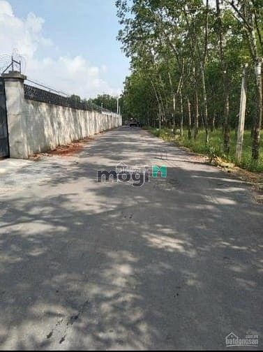 Hình ảnh Đất Tân Uyên Vĩnh Tân giá rẻ ,liền kề đường DT742 , VSIP2 , đường thôn