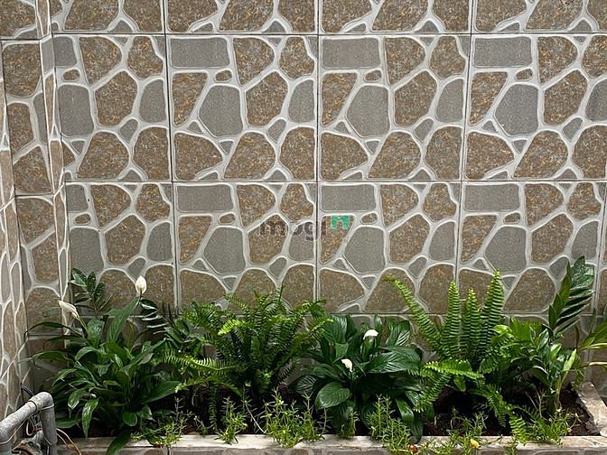 Hình ảnh NHÀ HẺM 8M THÔNG Bờ Bao Tân Thắng, Sơn Kỳ, Tân Phú