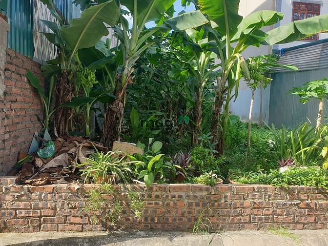 Hình ảnh Chính chủ cần bán 69m2 ngõ đường Lệ Mật ô tô vào tận đất.