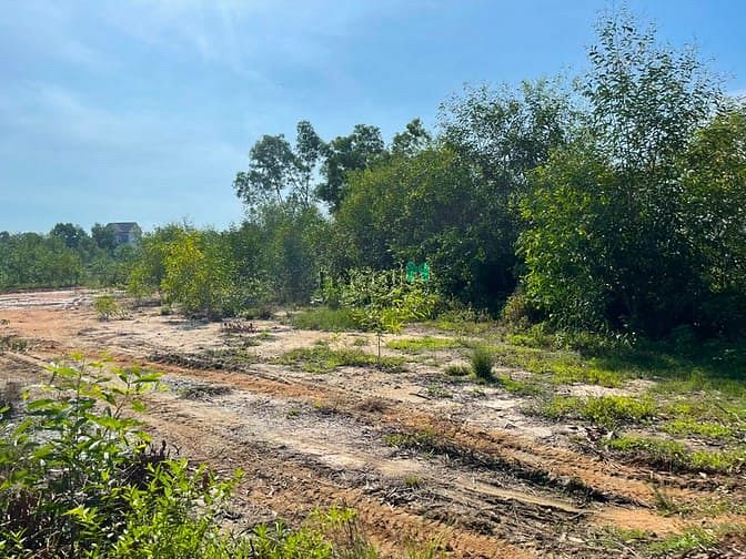 Hình ảnh Bán 1900m2 đất sát Biển Cam Bình, thị xã LaGi giá gốc 300m2 thổ cư