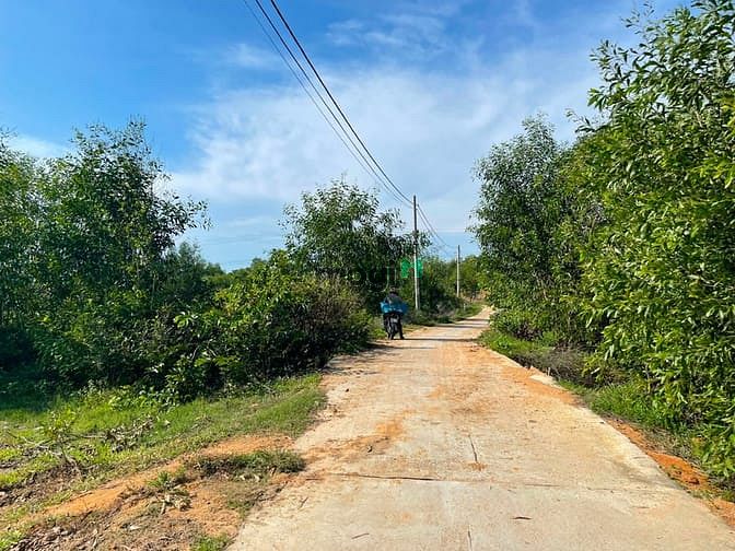 Hình ảnh Bán 1900m2 đất sát Biển Cam Bình, thị xã LaGi giá gốc 300m2 thổ cư