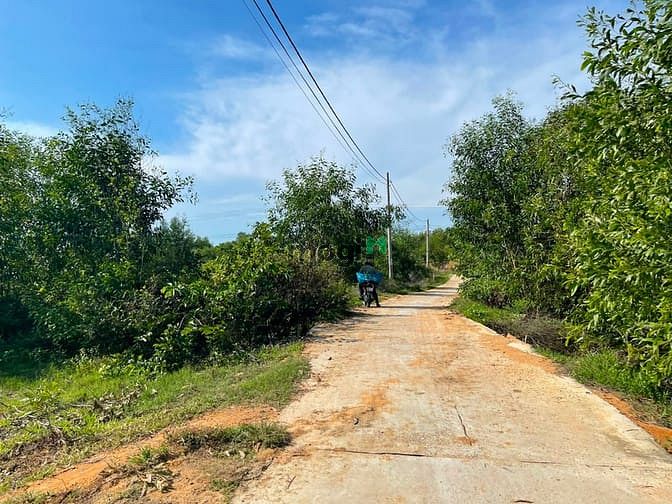 Hình ảnh Bán 1900m2 đất sát Biển Cam Bình, thị xã LaGi giá gốc 300m2 thổ cư