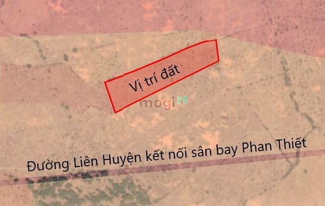 Hình ảnh đất rẫy Bắc Bình chỉ 95k/m2 chính chủ