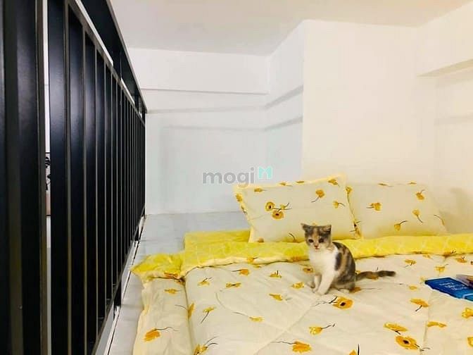 Hình ảnh Phòng mới xây bình tân, tân phú giá rẻ mùa dịch