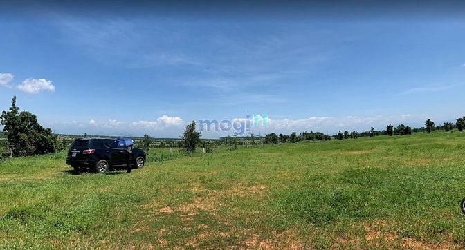Hình ảnh Cần bán đất nằm ngay trong Thị Trấn Chợ Lầu, có sẳn sổ đỏ, di chuyển t