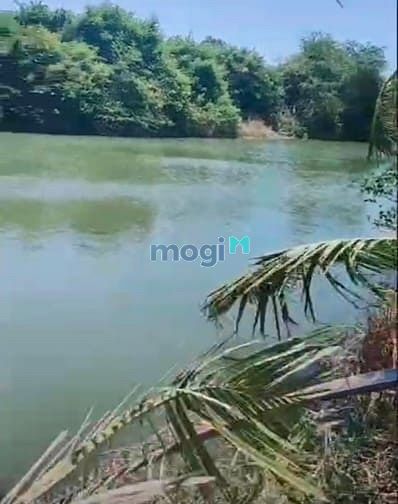 Hình ảnh Đất view Sông Lũy, liền kề KDC, sát QL1A. Đất vuông vức, sẵn sổ