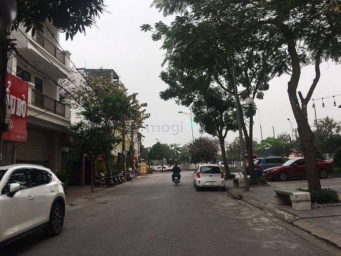 Hình ảnh Chính chủ cần bán 96,3m đất đấu giá Tầm Dâu, Việt Hưng