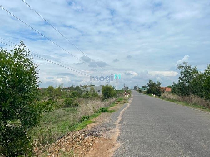 Hình ảnh Bán 7.7 sào đất mặt tiền Võ Văn Tần, thị xã LaGi giá ngộp
