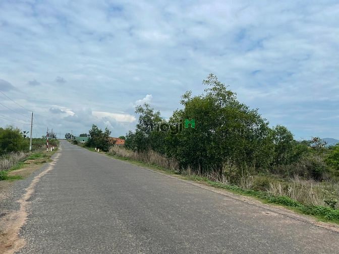 Hình ảnh Bán 7.7 sào đất mặt tiền Võ Văn Tần, thị xã LaGi giá ngộp