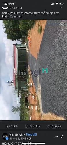 Hình ảnh Bán 2,2ha đất Vườn Phú Lý Vĩnh Cửu
