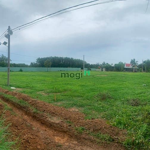 Hình ảnh Châu Pha, Phú Mỹ , Bà rịa ngộp mùa EURO