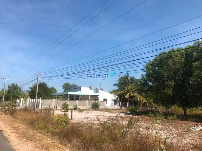 Hình ảnh Bán đất thổ cư Trần Quang Diệu, thị xã LaGi giá Trang MB66.COM Chính Thức - MB 66 Uy Tín