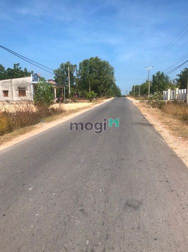 Hình ảnh Bán đất thổ cư Trần Quang Diệu, thị xã LaGi giá Trang MB66.COM Chính Thức - MB 66 Uy Tín