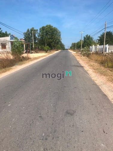 Hình ảnh Bán đất thổ cư Trần Quang Diệu, thị xã LaGi giá Trang MB66.COM Chính Thức - MB 66 Uy Tín