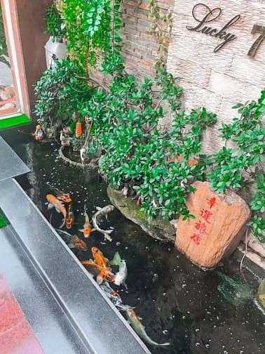 Hình ảnh Cần Bán Gấp Khách Sạn 3 Lầu Ngay Khu Tên Lửa . Bình Tân