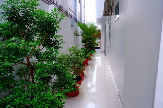 Hình ảnh Cần Bán Gấp Khách Sạn 3 Lầu Ngay Khu Tên Lửa . Bình Tân